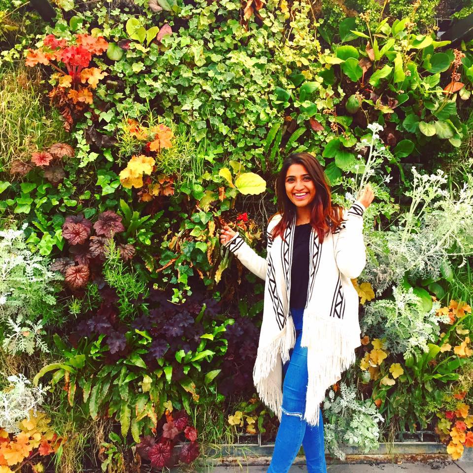 Picture of Chandvi Shah infant of a flowery wall